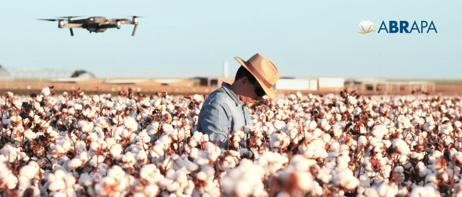 Cotton On Brasil