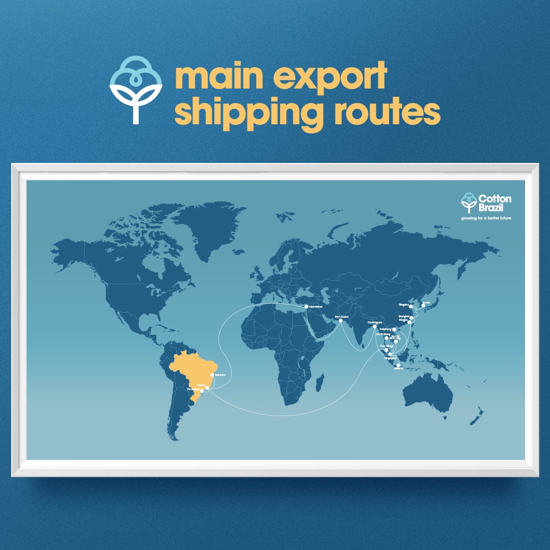 Port of Santos Beyond Cotton: The Giant Connecting Brazil to the World ...